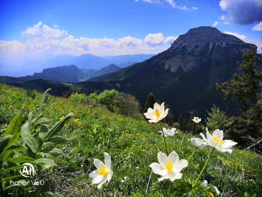 Vila La Tour En Belledonne Theys Exteriér fotografie